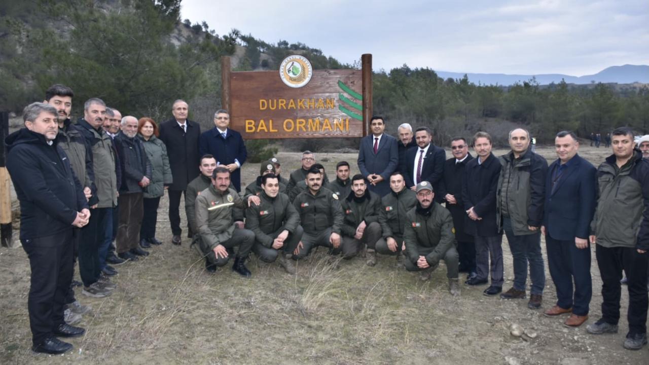 827’nci Bal Ormanı Sinop’ta kuruldu
