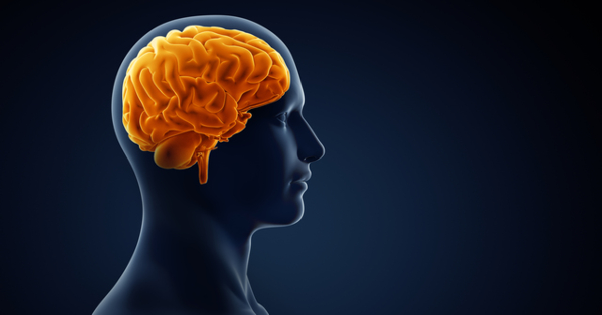 B12 vitamini eksikliği sinir hücrelerine kalıcı hasar verebilir